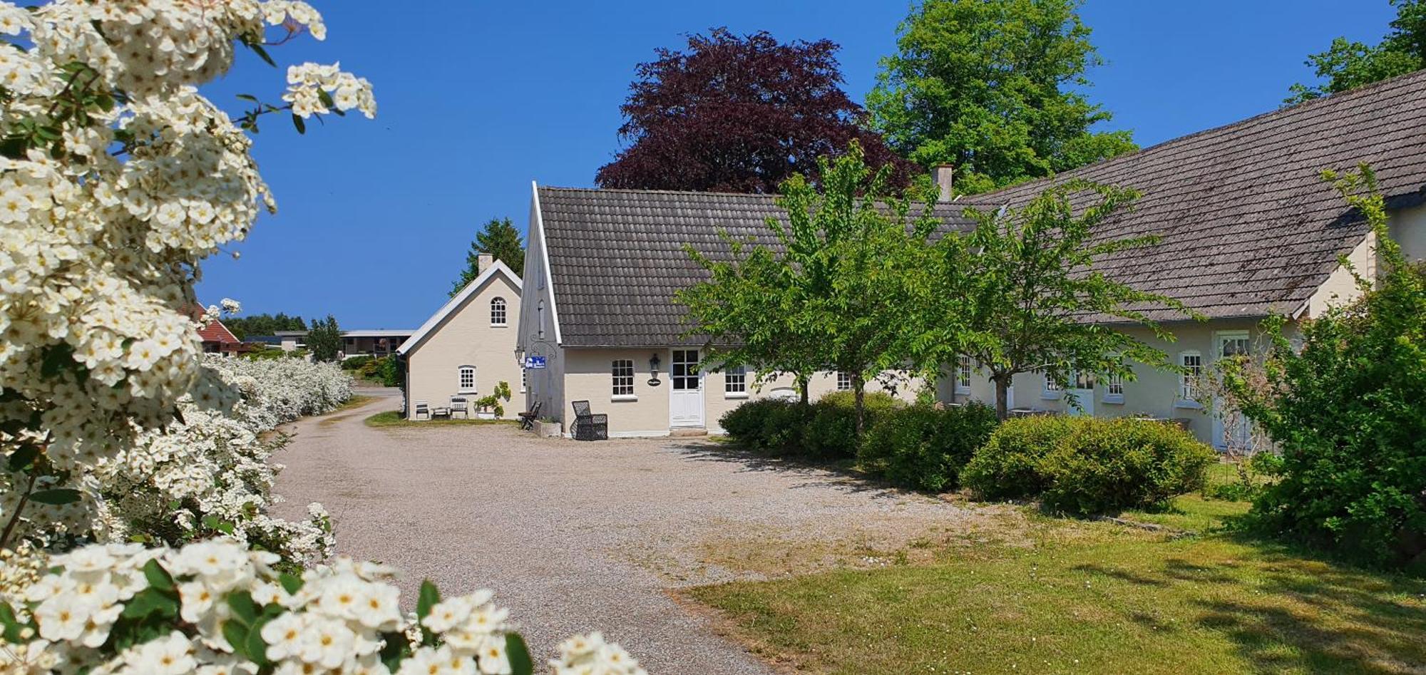 أودنسه Store Ejlstrup Bed & Breakfast المظهر الخارجي الصورة